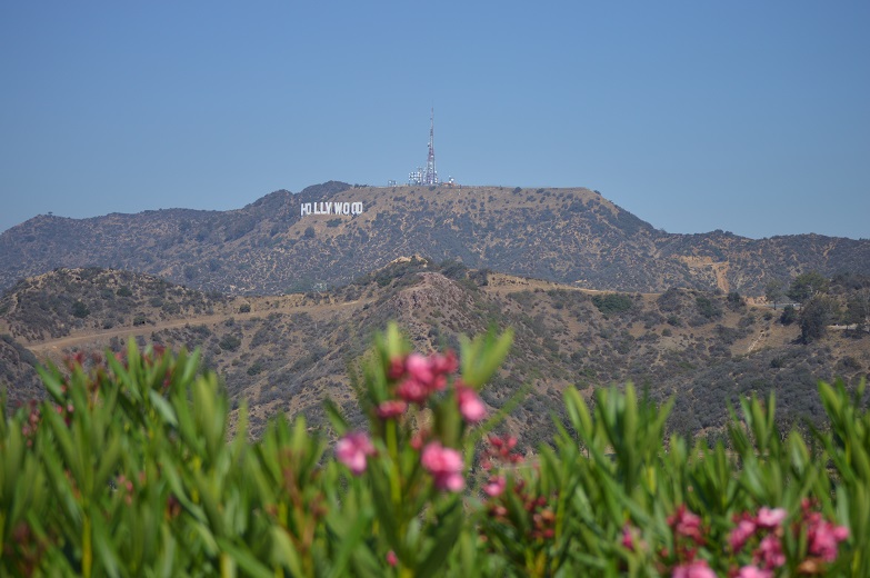 DSC_6348.JPG