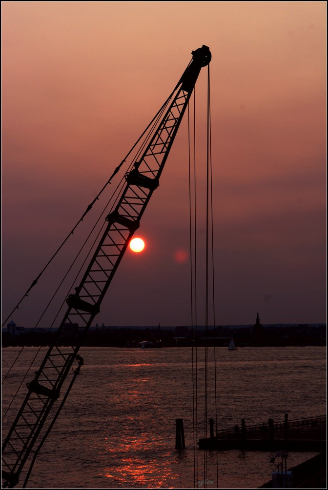 DSC_4547_tom.jpg
