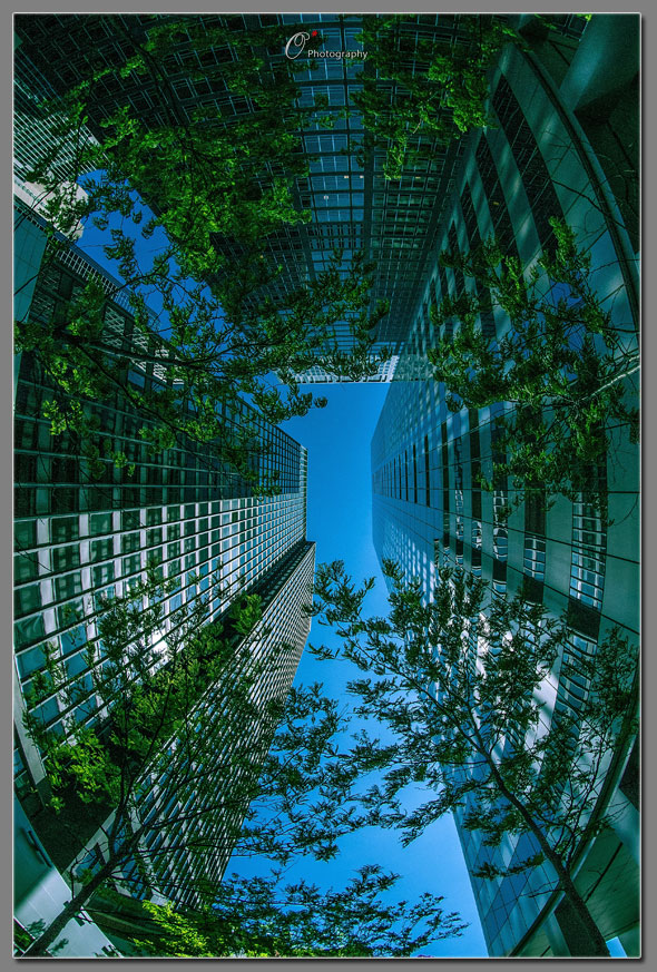 ¥-001.jpg