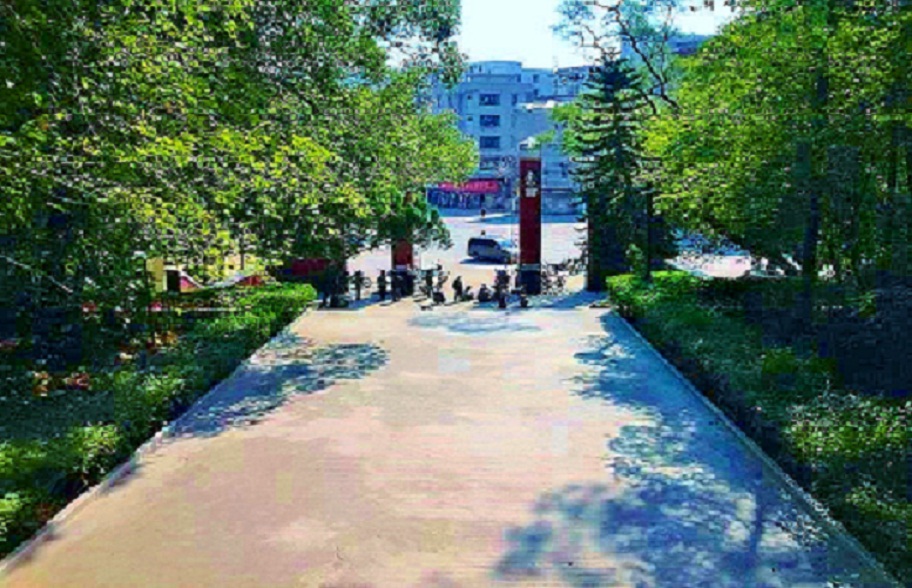 2013-11-29 2013-11-29 001.JPG