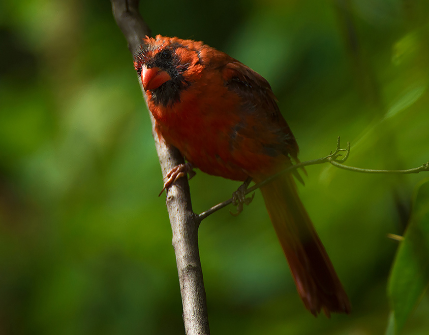 _DSC5464on_.jpg