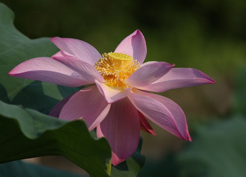 345A0542.JPG