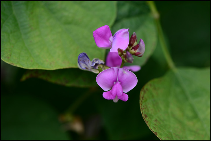DSC_2169.jpg