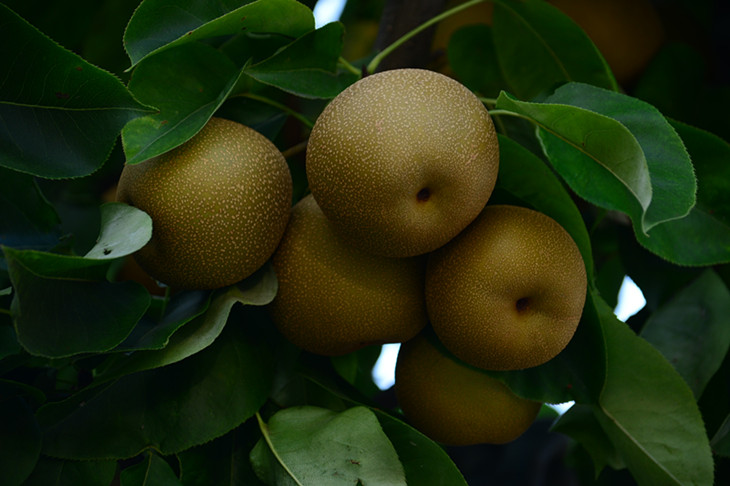 DSC_2846_.jpg