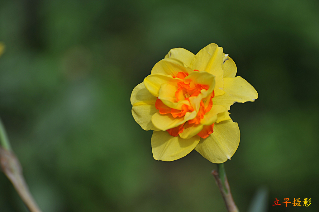DSC_2356.JPG