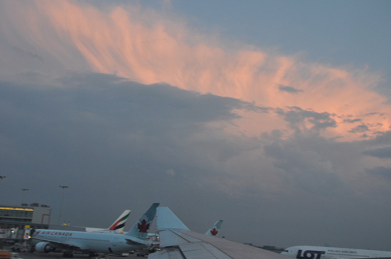 michelle's wedding 401_����.jpg