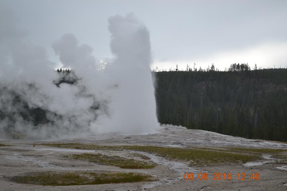 ��ʯ��԰֮�� 318.jpg