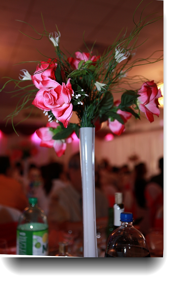 IMG_8317b.jpg