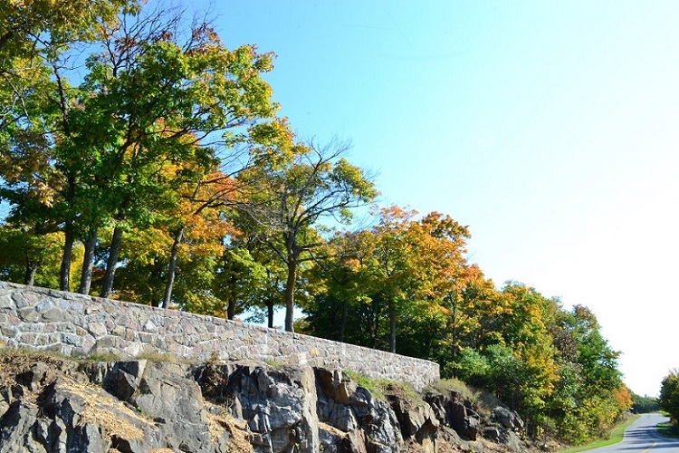 DSC_0119.JPG