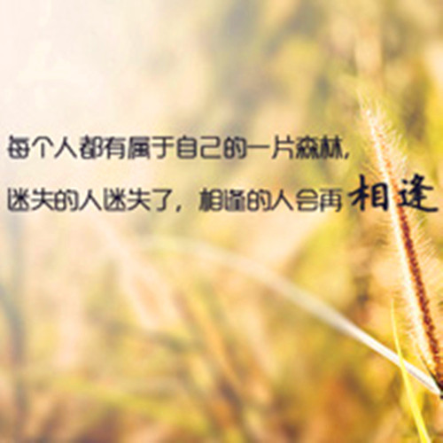 201351584659529_.jpg