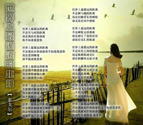 28573508_9_.jpg