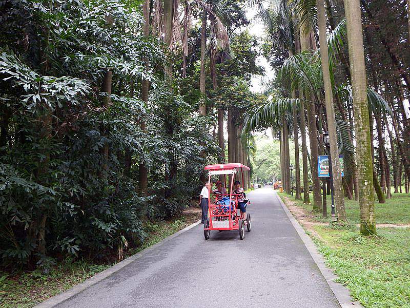 DSCF0346.jpg