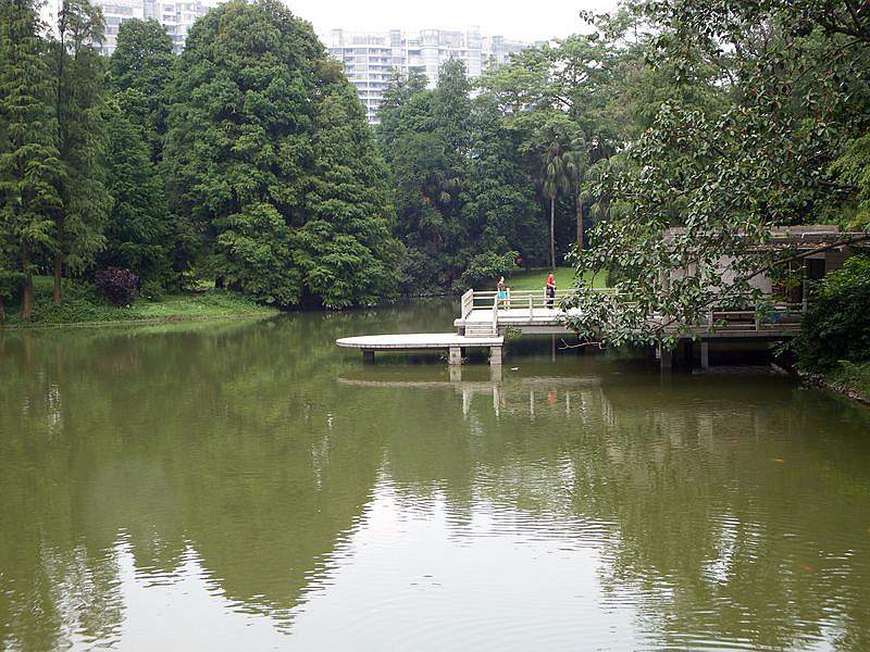 DSCF0539.jpg