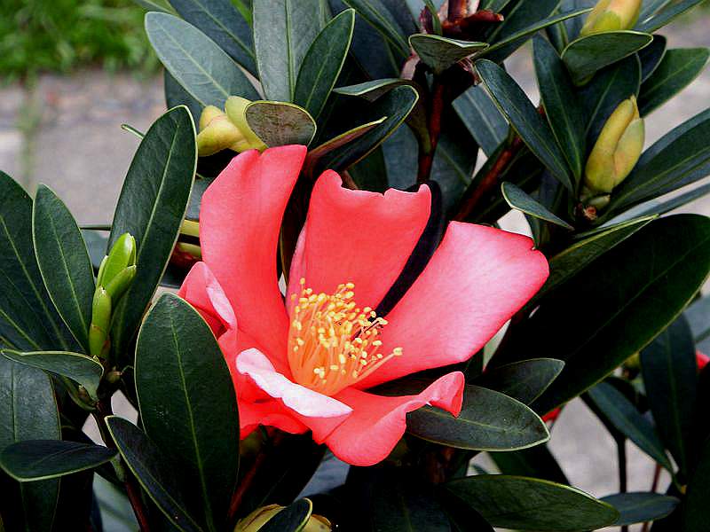DSCF0825.jpg