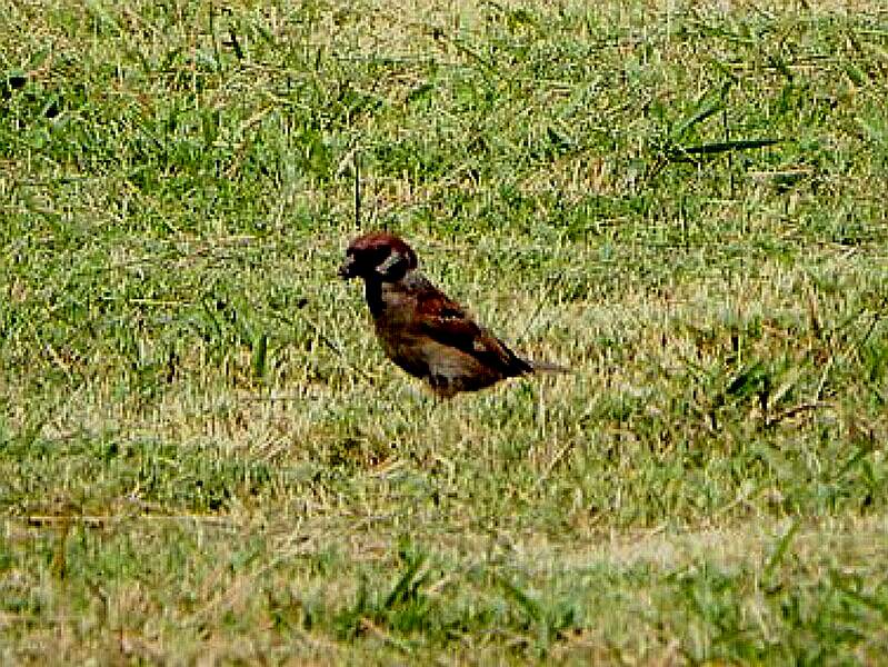 IMG_7571.jpg