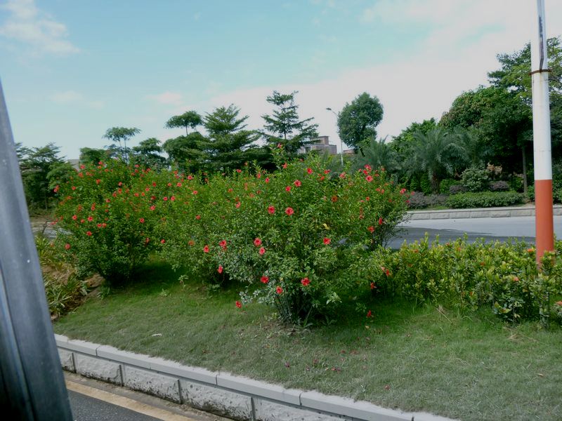 P1090859.jpg