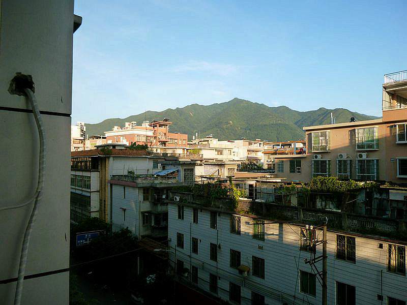 P1100123.jpg