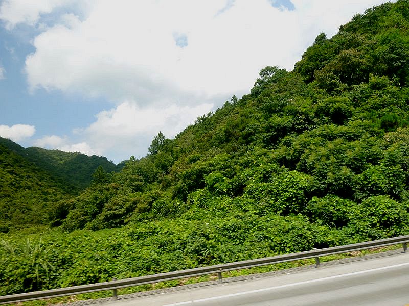 P1090864.jpg