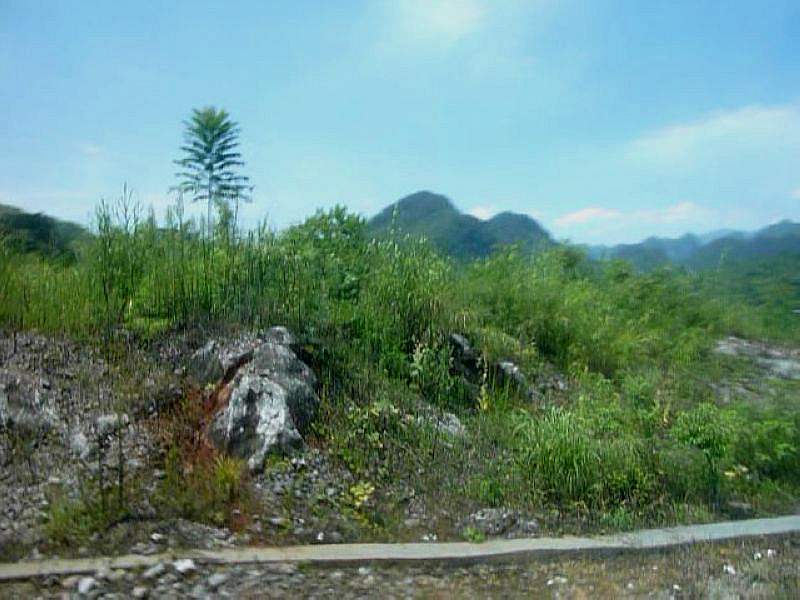 P1100238.jpg