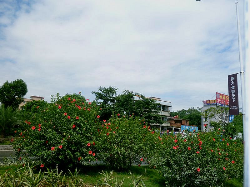 P1090858.jpg