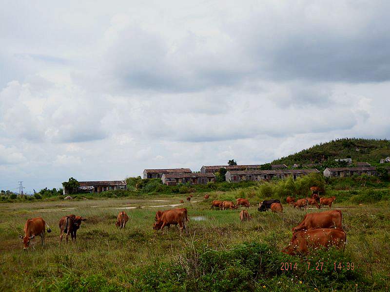 DSCF1663.jpg