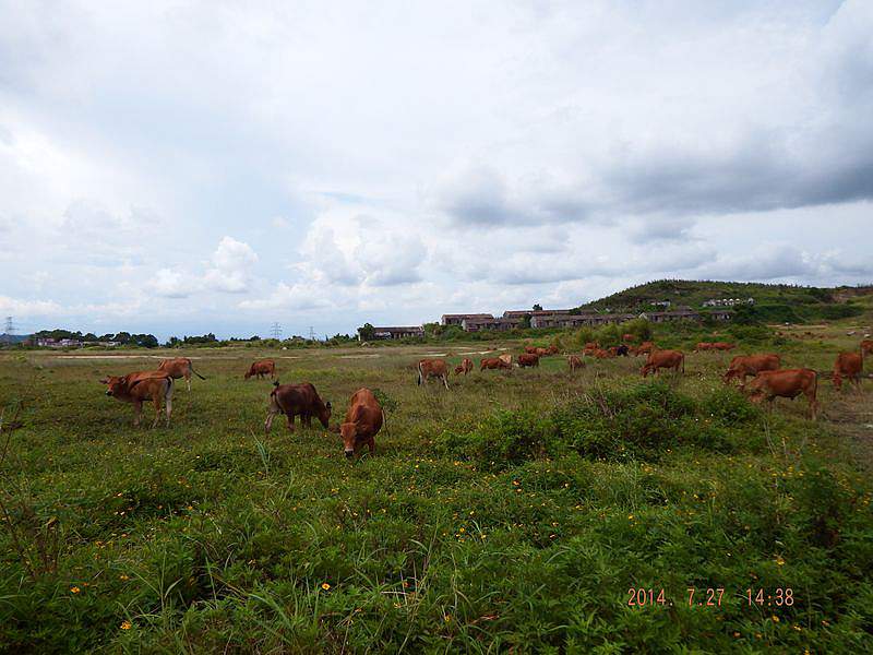 DSCF1659.jpg