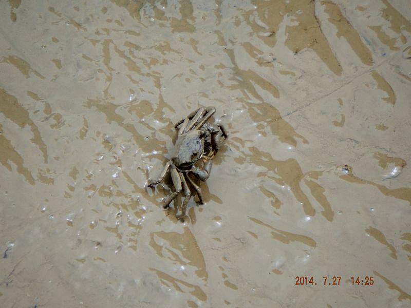 DSCF1658.jpg