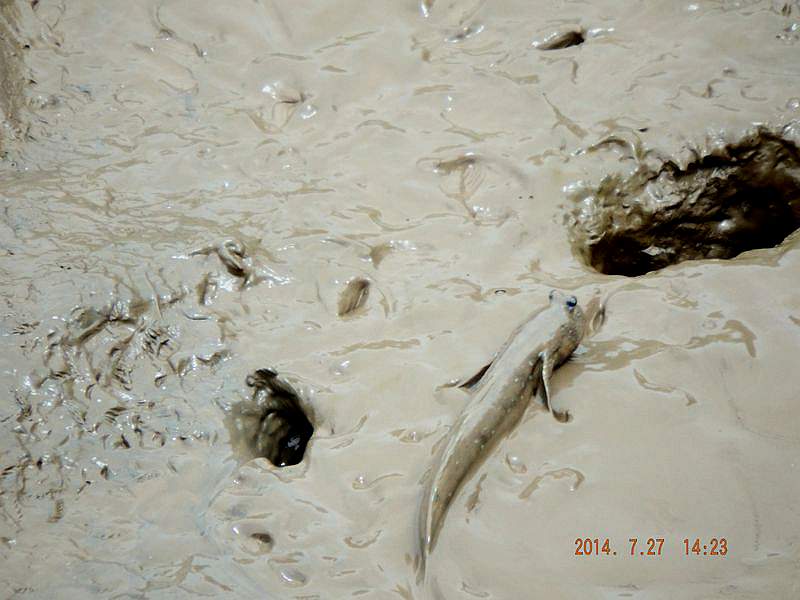 DSCF1653.jpg