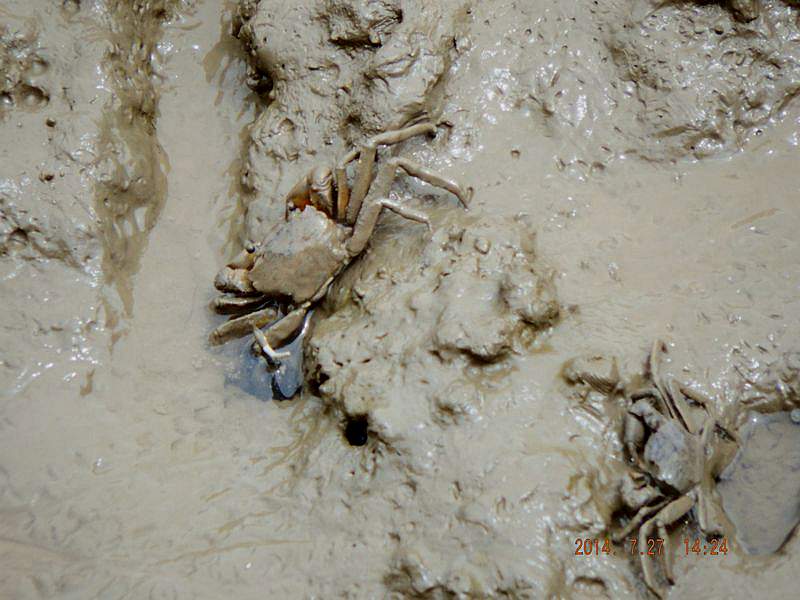 DSCF1657.jpg