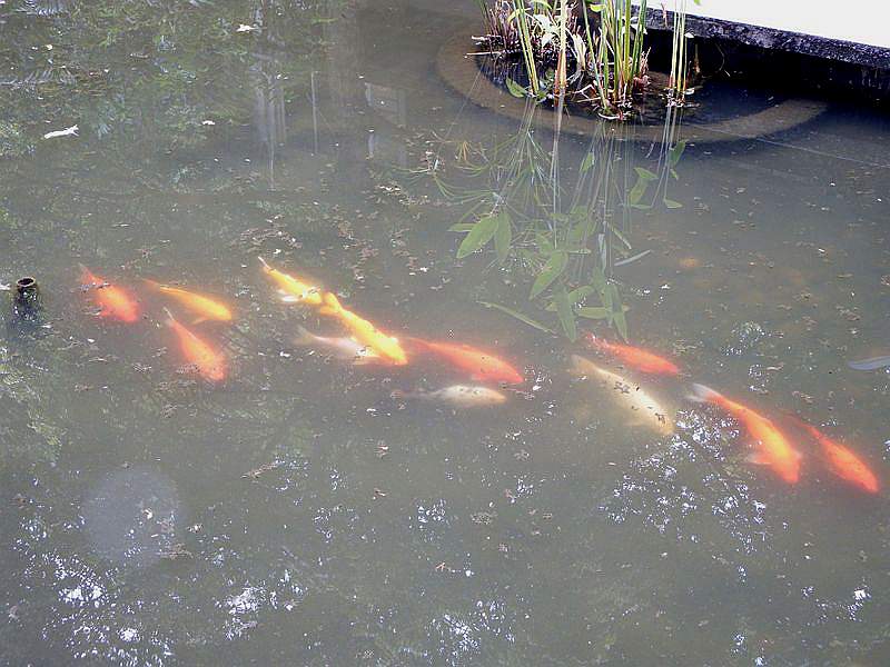 DSCF0490.jpg