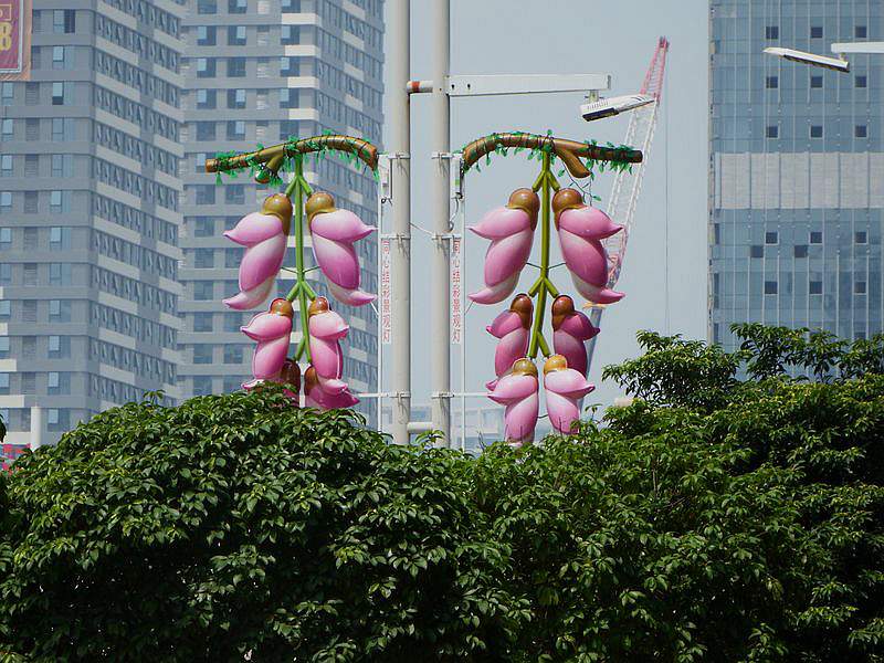 DSCF1131.jpg