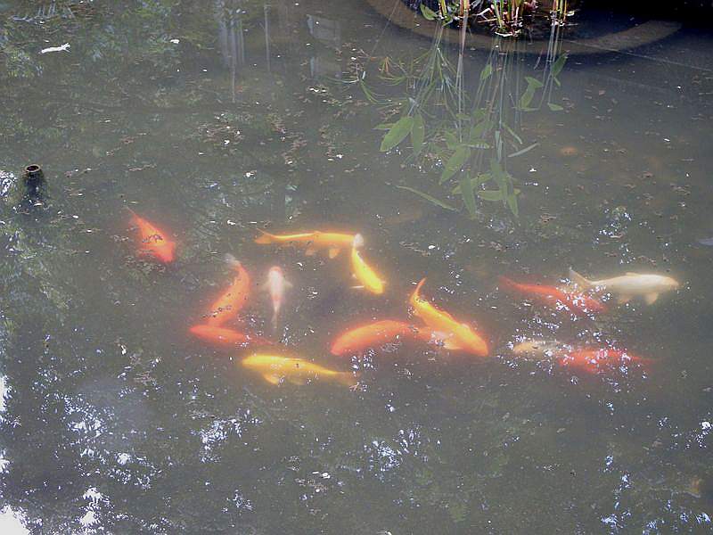 DSCF0491.jpg