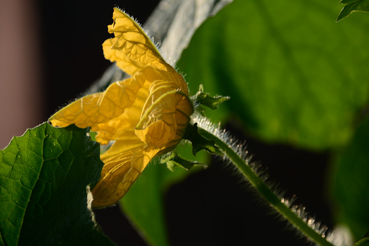 DSC_2864_.jpg