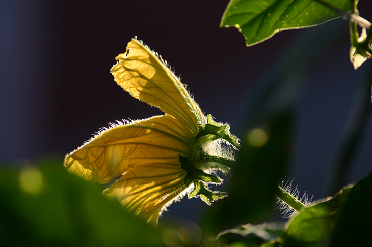 DSC_2862_.jpg