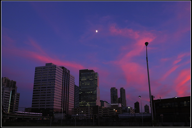 IMG_4337.JPG