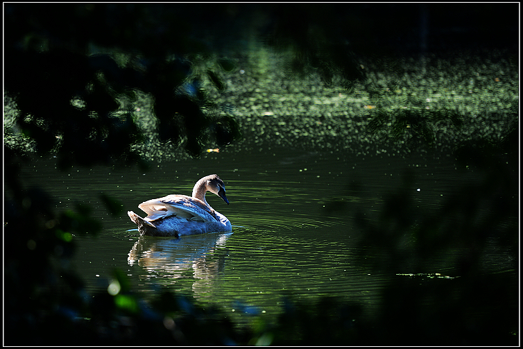 DSC_5461.JPG