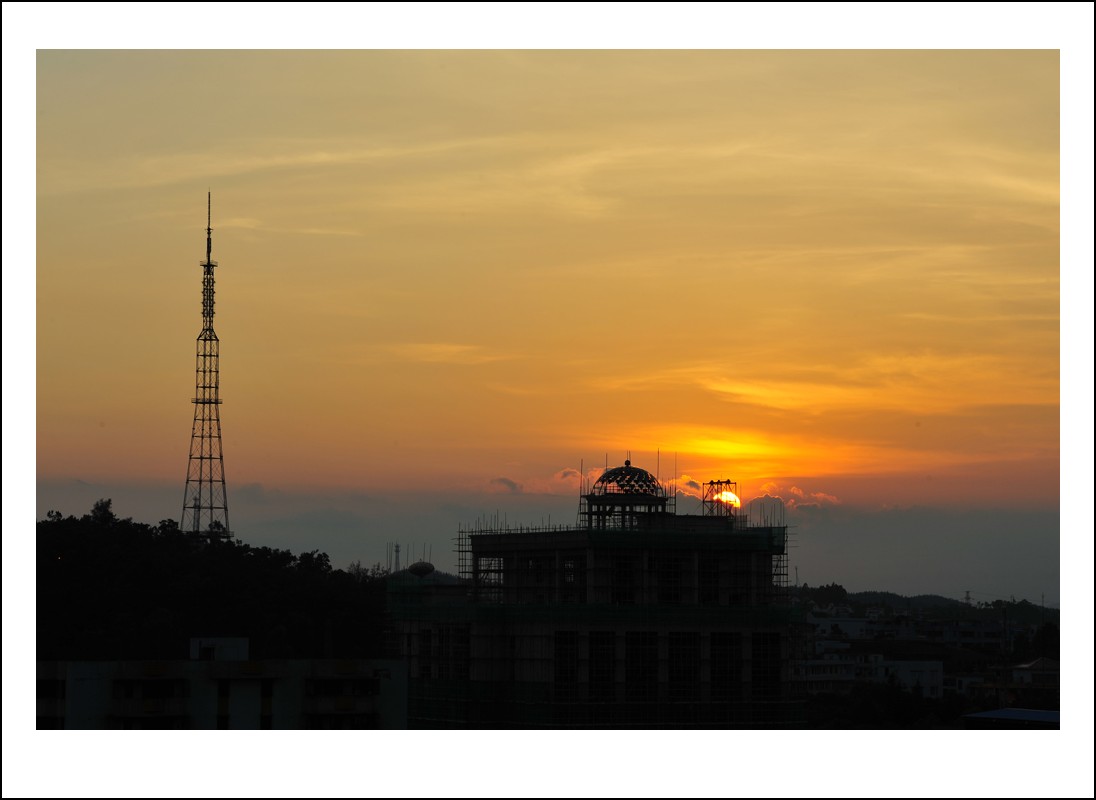 DSC_6395_conew1.jpg