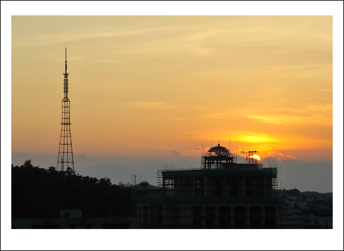 DSC_6393_conew1.jpg