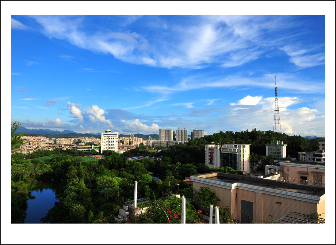DSC_9165_conew1.jpg