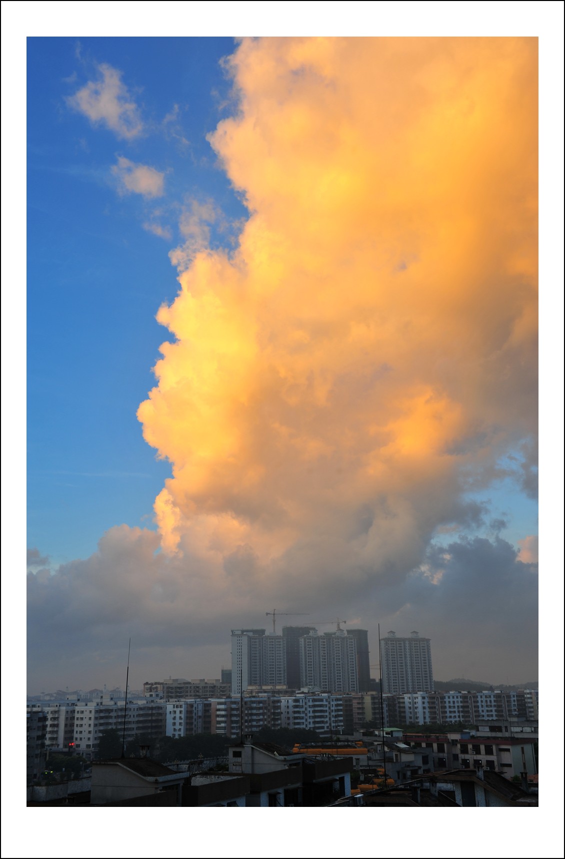 DSC_5760_conew1.jpg