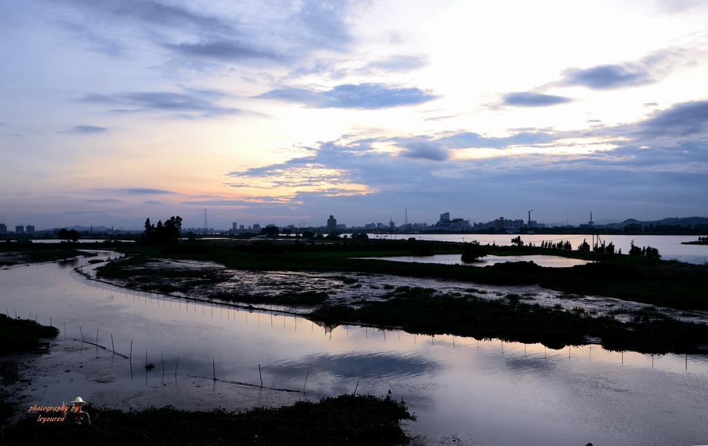 DSC_3162.JPG