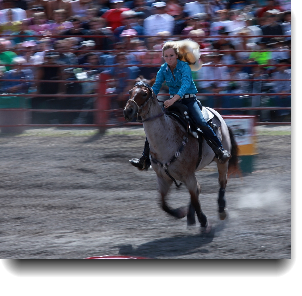 IMG_1117a.jpg