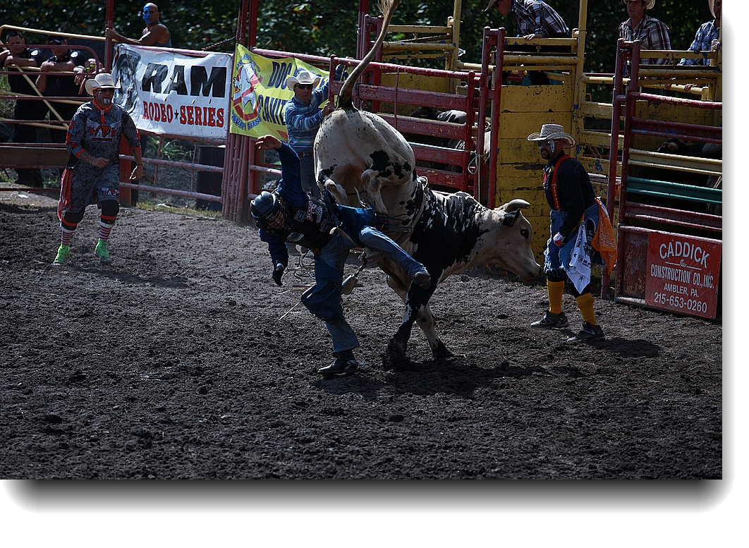 IMG_0831b.jpg