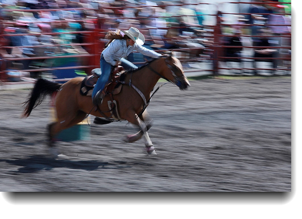 IMG_1467a.jpg