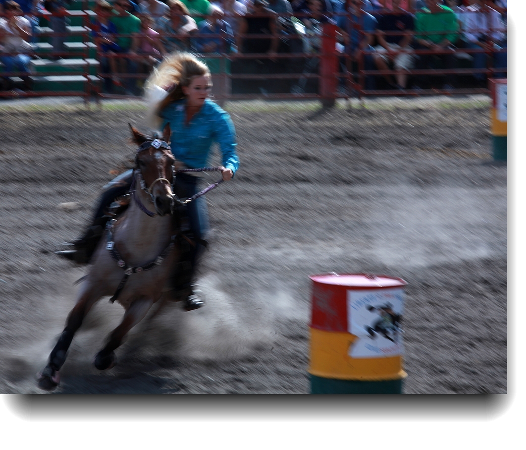 IMG_1120a.jpg
