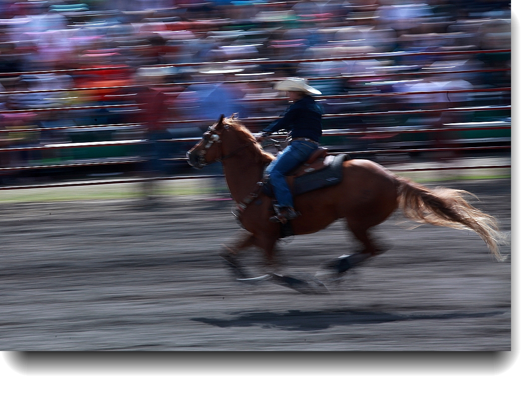 IMG_1203a.jpg