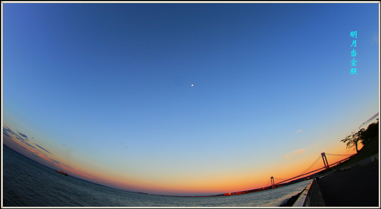 IMG_1190_conew1.jpg