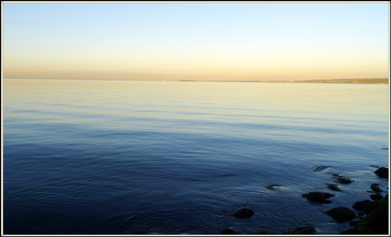 dsc06979_.jpg