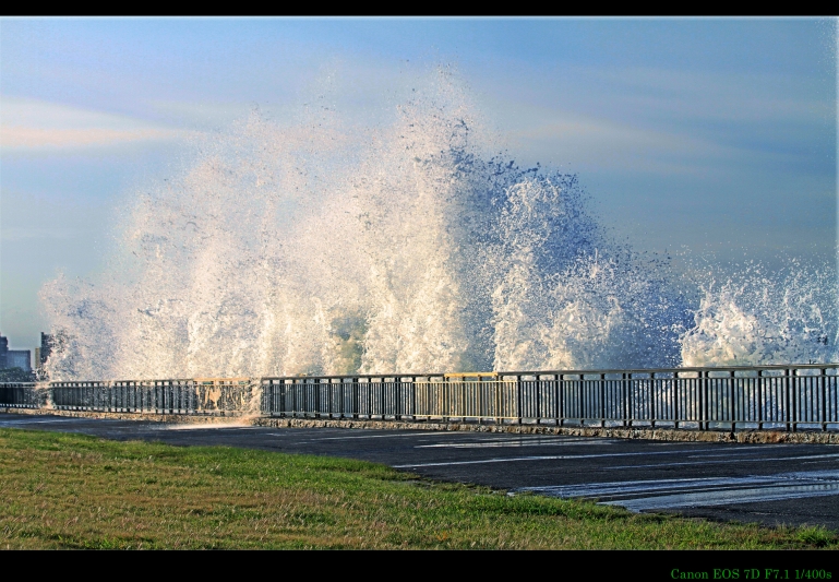IMG_0611_conew1.jpg