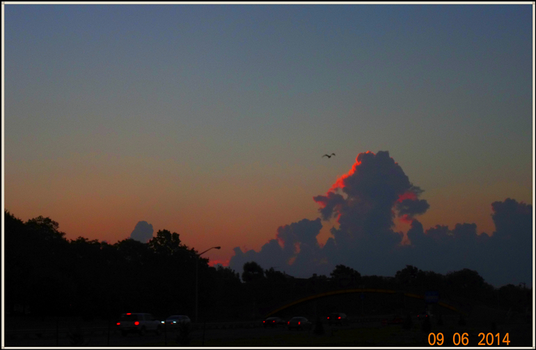 dsc07006_.jpg
